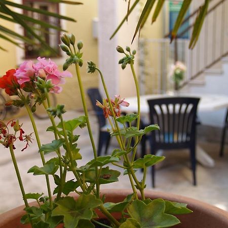 Apartment Nana 1 Σίμπενικ Εξωτερικό φωτογραφία