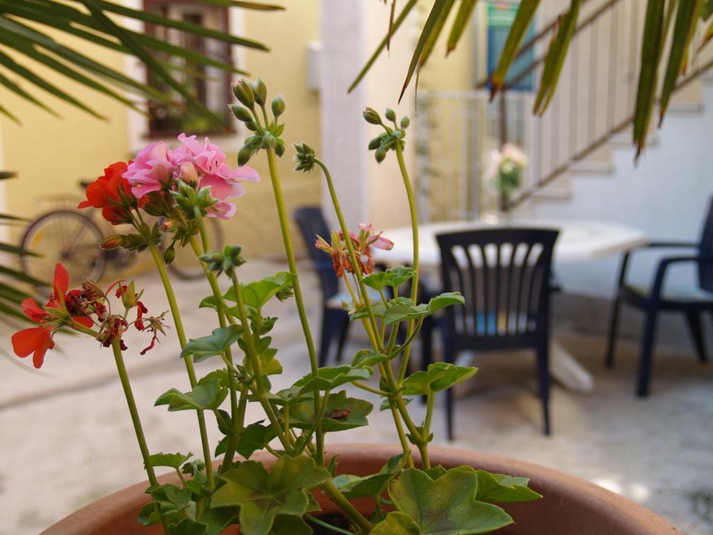 Apartment Nana 1 Σίμπενικ Εξωτερικό φωτογραφία